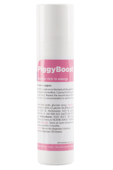 Raizup Piggyboost 100 ml 