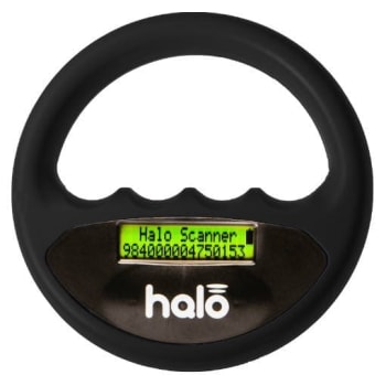 Chipavleser Halo Sort