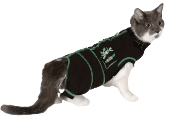 Medipaw Body Katt