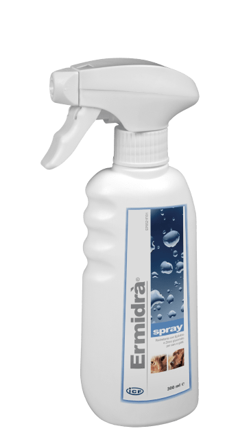 Ermidra Spray 300 ml