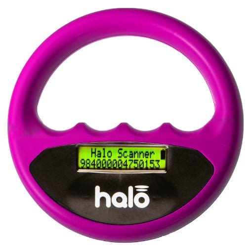 Chipavleser Halo Rosa
