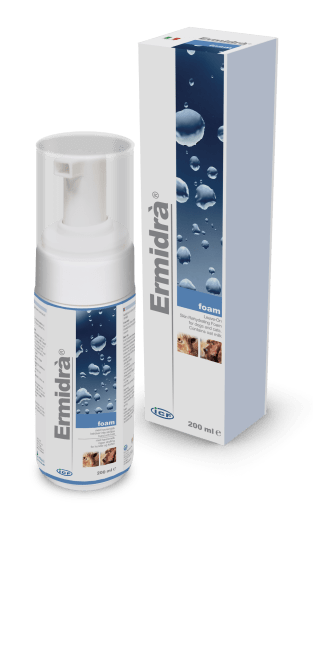Ermidra Foam, 200 ml