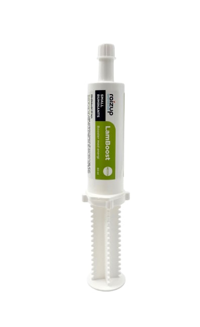 Raizup Lamboost 60 ml