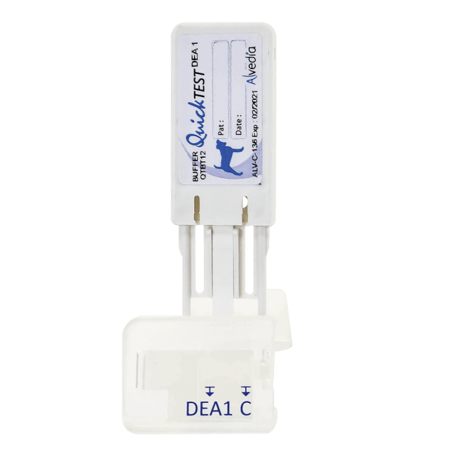 Alvedia Blodtypetest til hund - hurtigtest