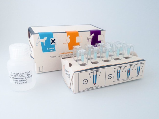 Alvedia Geltest Crossmatch til hund  / 10 stk