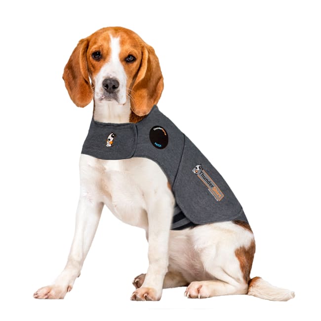Thundershirt