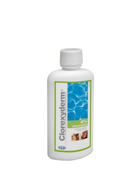 Clorexyderm Shampoo 4%, 1000 ml