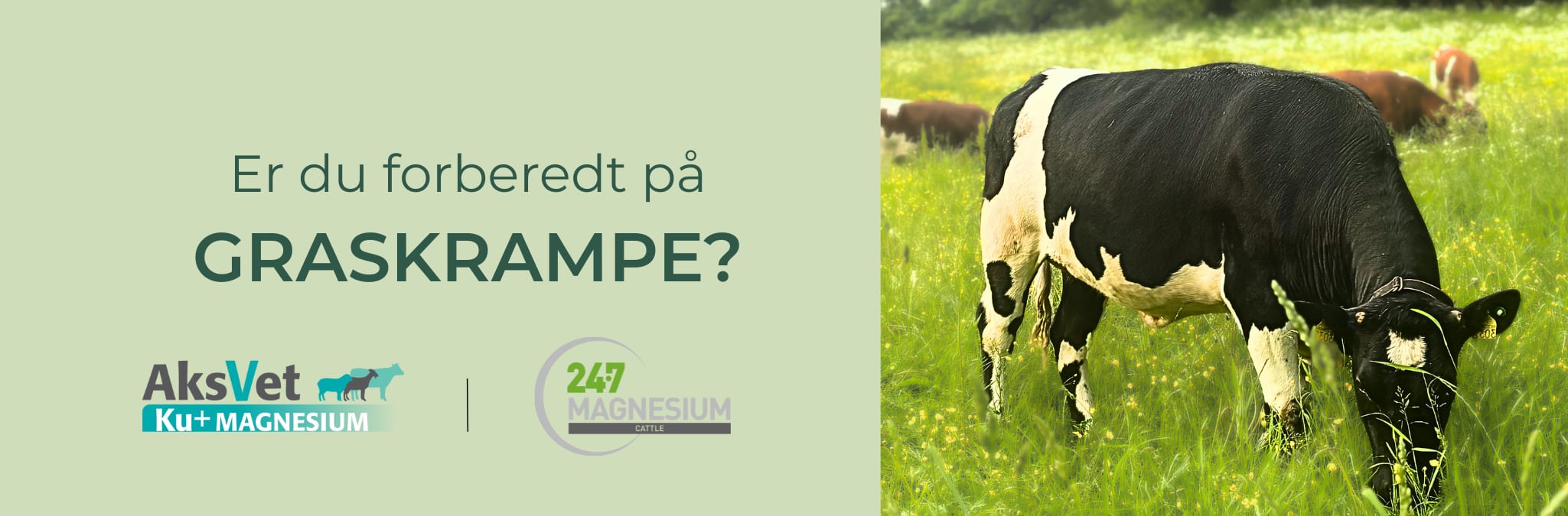 Graskrampe- 2025