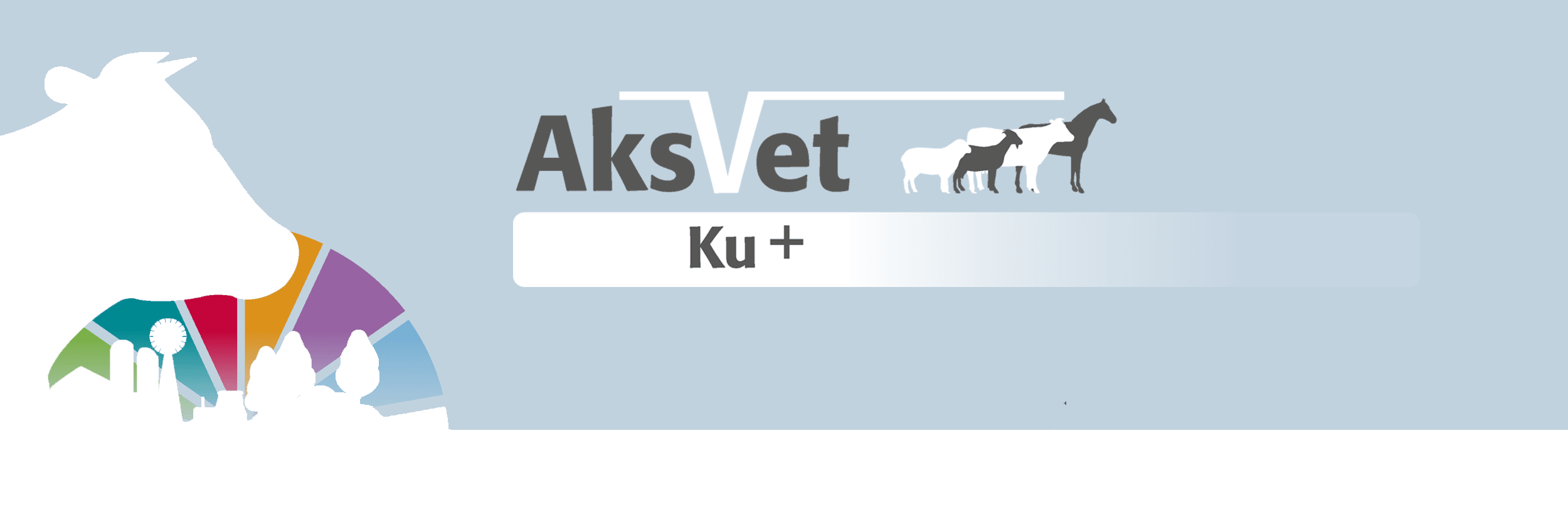Aksvet ku+