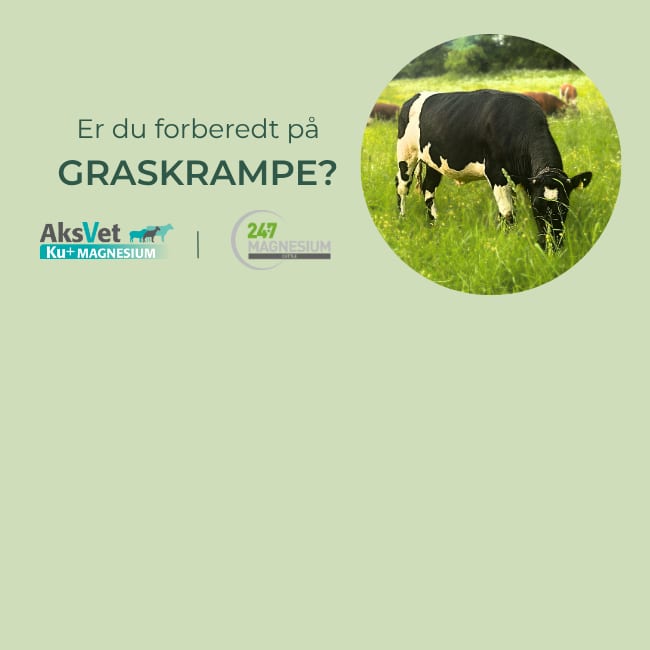 Hypomagnesemi – en klima utfordring