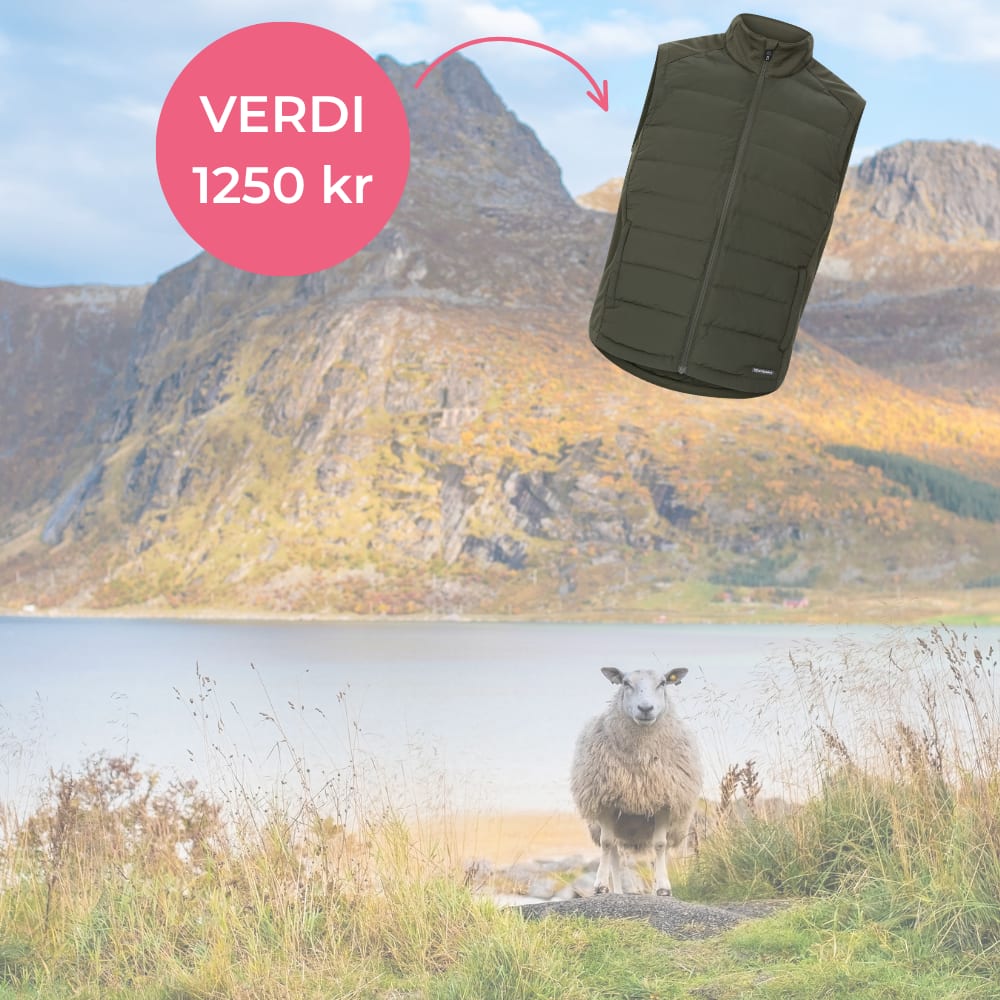 Få en gratis Oak Harbor boblevest