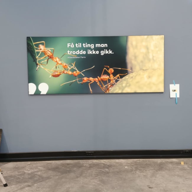 Akustikkdempende Bilde 2950x1250mm sort ramme