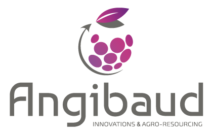 Angibaud
