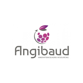 ANGIBAUD