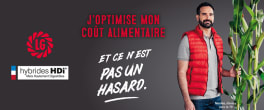 LG assure rendement et digestibilité avec sa gamme de maïs fourrage HDi®