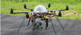 Drone arvalis