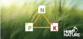 Les biostimulants d’Hello Nature améliorent l'efficience d'utilisation des unités fertilisantes en soutenant la protection de l'environnement