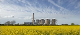 Usine nucléaire avec champ de colza