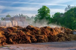 effluents d'élevage