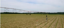 pilotage irrigation
