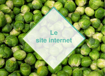 Picto le site internet Farmi