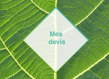 Picto mes devis Farmi