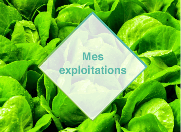 Picto mes exploitations Farmi