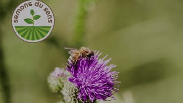 Visuel illustrant l’engagement en faveur de semences durables, mettant en avant la biodiversité et les pratiques agricoles responsables.