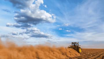 Des semences sélectionnées pour accompagner les agriculteurs à chaque étape de la culture, alliant performance, résilience et respect des sols.