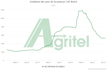 Evolution des prix de la potasse CAF Brésil