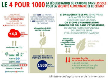 QUELS LEVIERS POUR RÉDUIRE LES ÉMISSIONS DE GES DU SECTEUR AGRICOLE ET DE LA FERTILISATION ?
