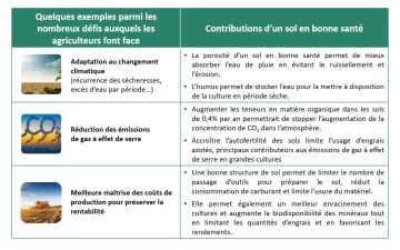 Pourquoi il est si important de préserver la santé de nos sols