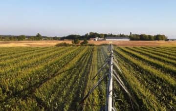 Irrigation : bien implanter les sondes capacitives