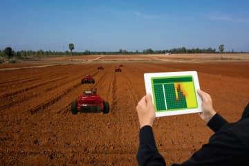 Désherbage des grandes cultures : les robots, une solution d’avenir ?