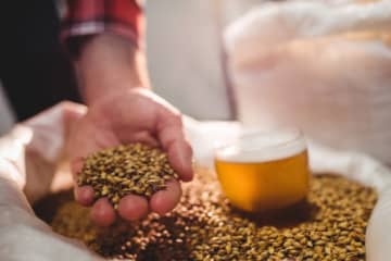 Céréales à paille