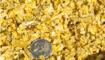 Les promesses du maïs Shredlage sont-elles tenues ?