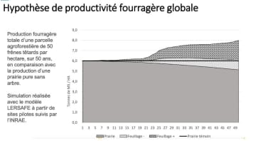 Hypothèse de productivité fourragère