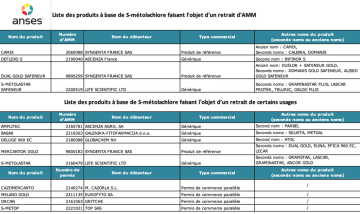 Algimouss : quand un produit devient une marque (SH n°351 05-11-14