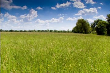 Le semis de prairie sous couvert de méteil