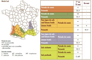 Période de semis selon la précocité du tournesol