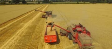 Chantier moisson