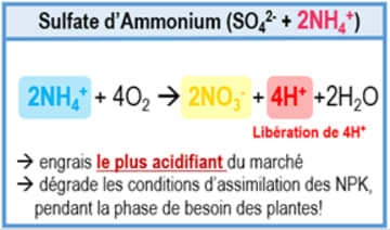 Sulfate d'Ammonium