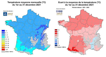Face aux fortes températures des 4 derniers mois, vigilance à la levée des adventices