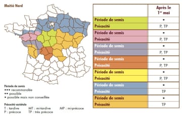 période de semis du tournesol après le 1er mai dans la moitié Nord en fonction de la précocité