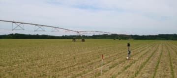 pilotage irrigation