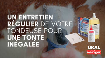 Conseils sur l'entretien d'une tondeuse électrique pour chevaux - Heiniger