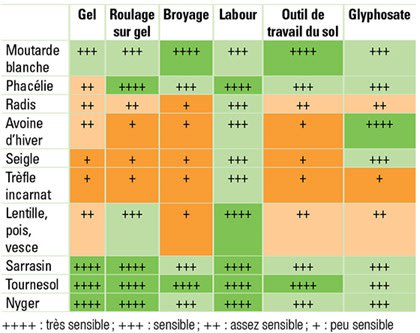Sensibilité des différentes espèces de couverts à différents modes de destruction
