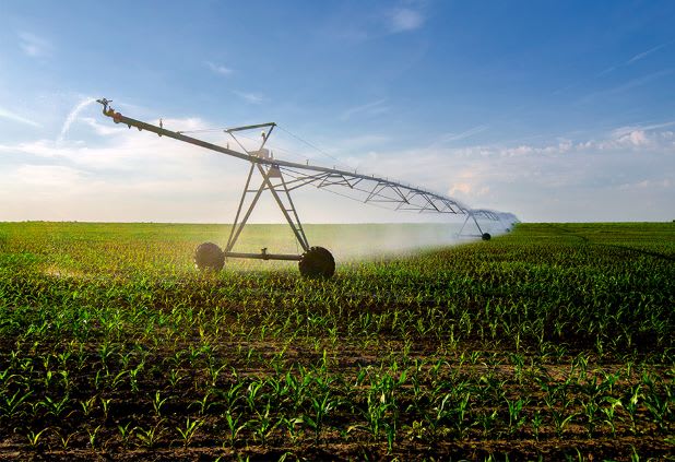 Pilotage irrigation