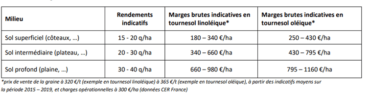 Tableau 1 : Marges brutes indicatives du tournesol selon les milieux