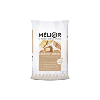 Le Graines de Talmière  - Image 1